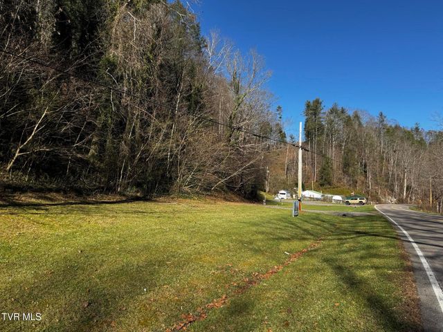 4264 Old Asheville Highway, Flag Pond, TN 37657