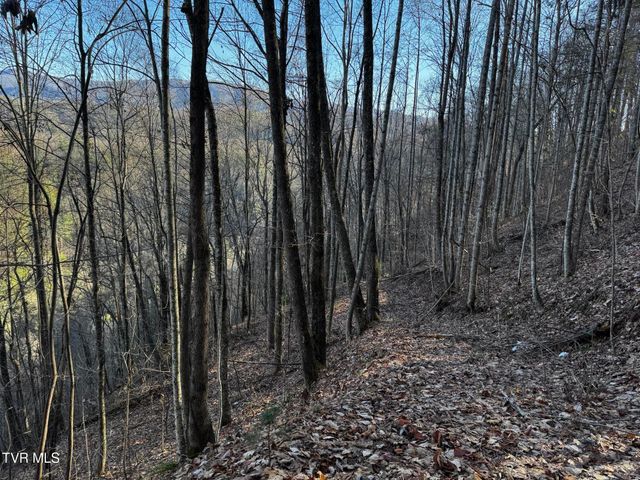 4264 Old Asheville Highway, Flag Pond, TN 37657