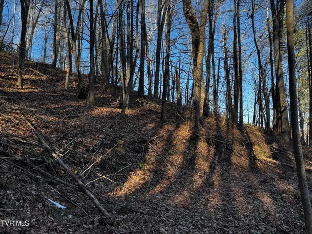 4264 Old Asheville Highway, Flag Pond, TN 37657