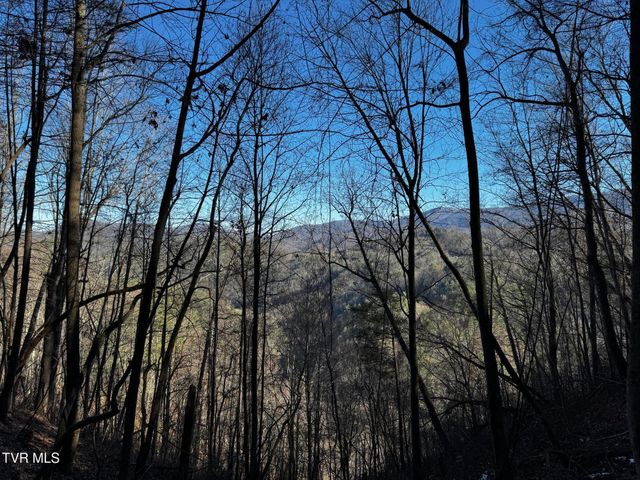 4264 Old Asheville Highway, Flag Pond, TN 37657