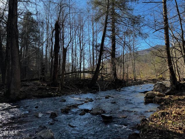 4264 Old Asheville Highway, Flag Pond, TN 37657