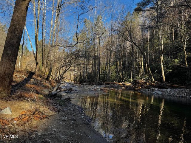 4264 Old Asheville Highway, Flag Pond, TN 37657