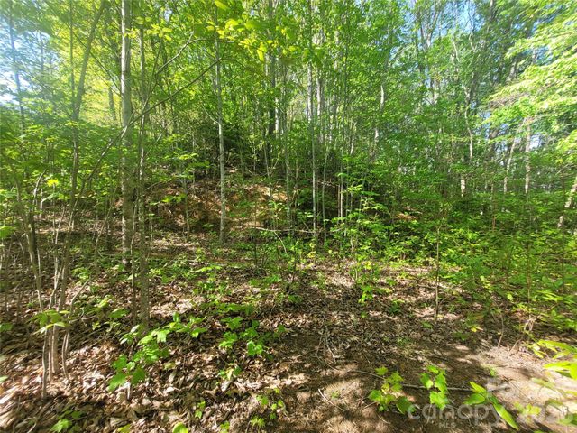 99999 Wolverine Court 53, Waynesville, NC 28785