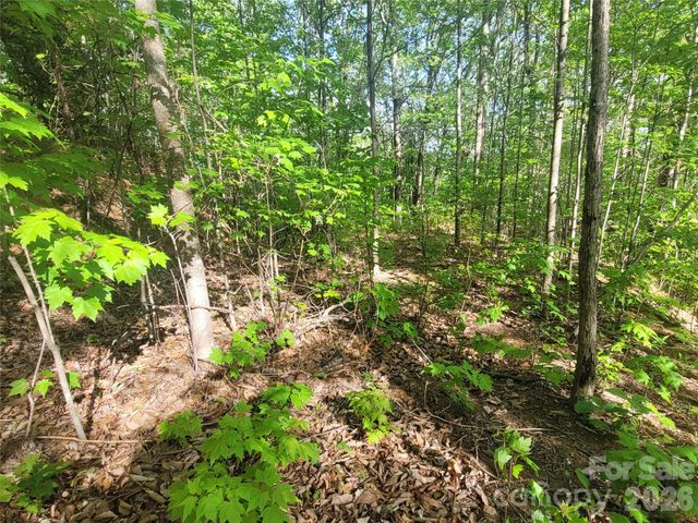 99999 Wolverine Court 53, Waynesville, NC 28785