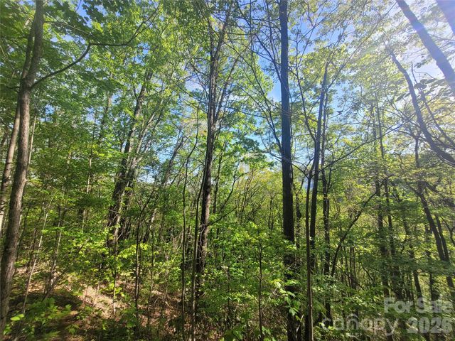 99999 Wolverine Court 53, Waynesville, NC 28785