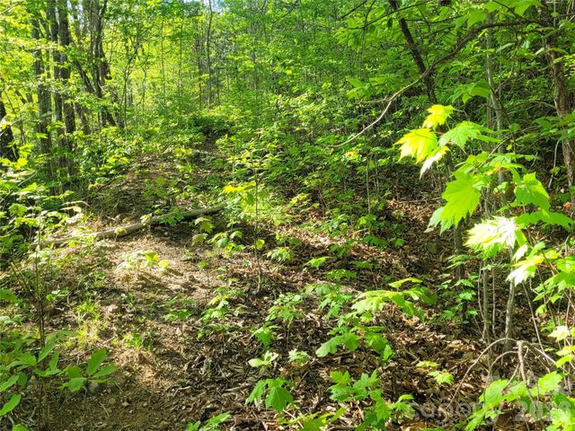 99999 Wolverine Court 53, Waynesville, NC 28785