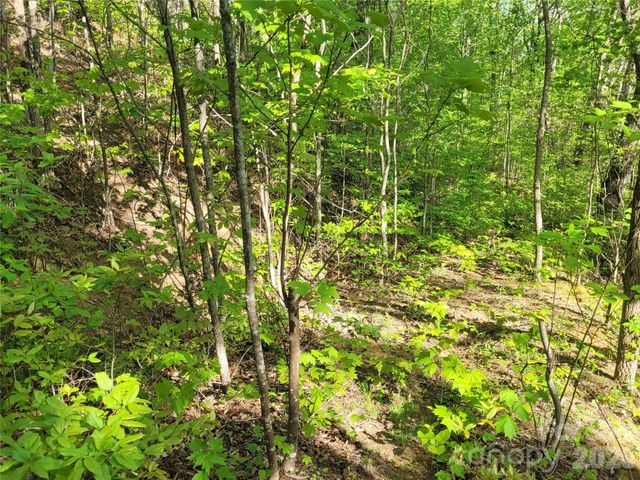 99999 Wolverine Court 53, Waynesville, NC 28785