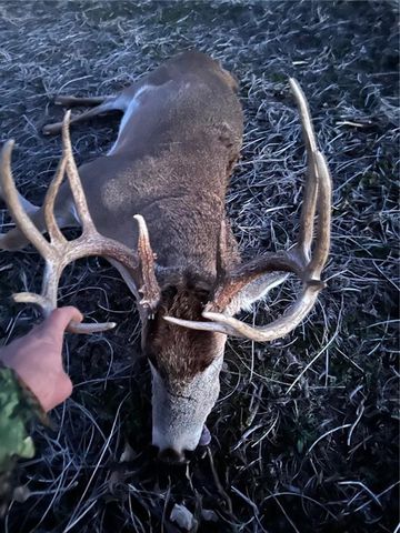 30904 Pressonville Road, Paola, KS 66071