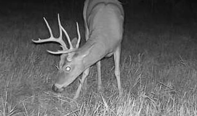 30904 Pressonville Road, Paola, KS 66071