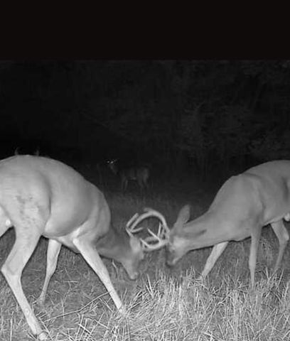 30904 Pressonville Road, Paola, KS 66071