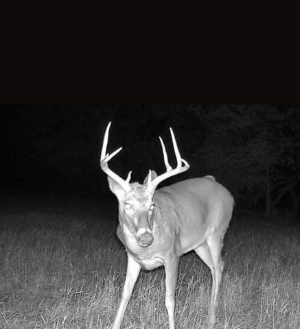 30904 Pressonville Road, Paola, KS 66071