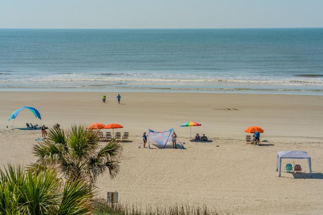 201 W Arctic Avenue Apt 302, Folly Beach, SC 29439