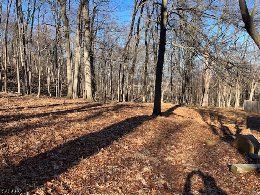 659 Mountain Ave, North Caldwell Boro, NJ 07006 — photo 2