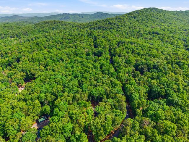 725 Tomahawk Trail, Blairsville, GA 30512