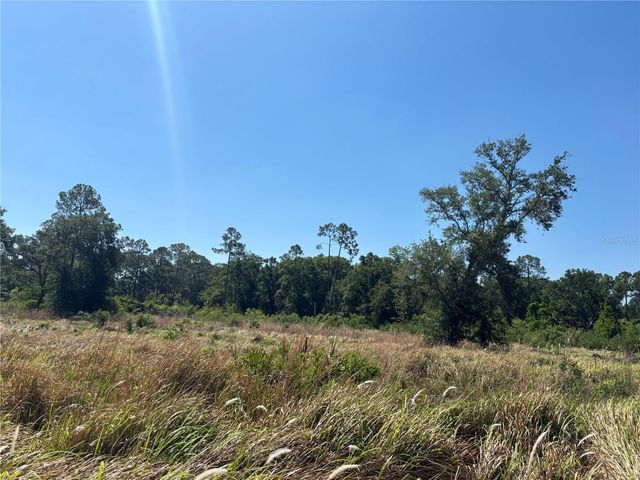 ARDENWOOD, Tampa, FL 33625