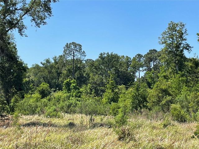 ARDENWOOD, Tampa, FL 33625