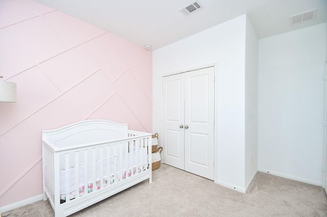 17826 Juneberry Seed Street, Hockley, TX 77447