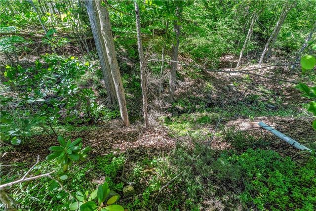 6821 Thornapple Drive, Mayfield Village, OH 44040