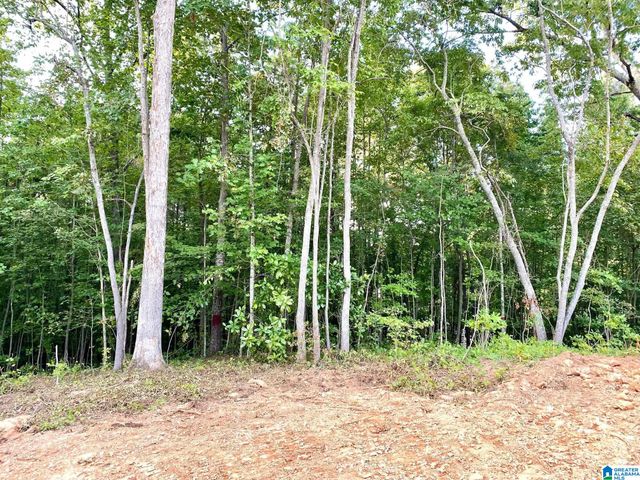 0 COUNTY ROAD 852, Ranburne, AL 36273