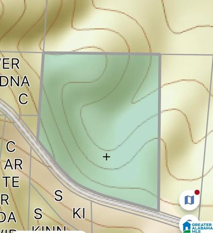 0 COUNTY ROAD 852, Ranburne, AL 36273