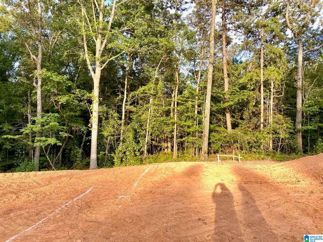 0 COUNTY ROAD 852, Ranburne, AL 36273