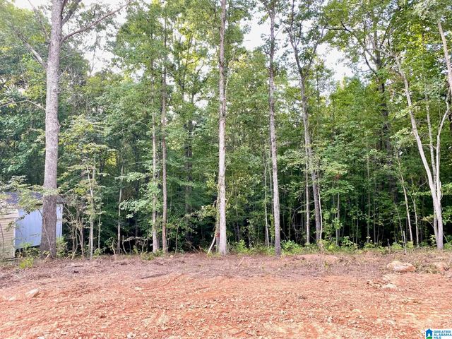 0 COUNTY ROAD 852, Ranburne, AL 36273