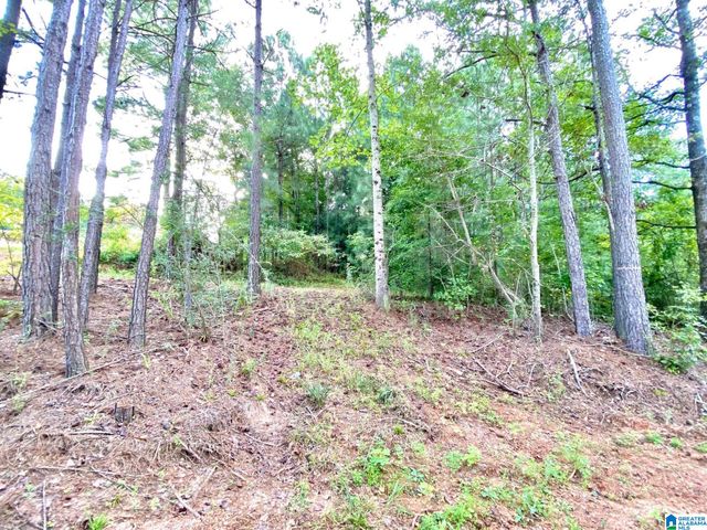 0 COUNTY ROAD 852, Ranburne, AL 36273