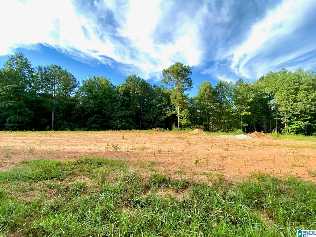 0 COUNTY ROAD 852, Ranburne, AL 36273