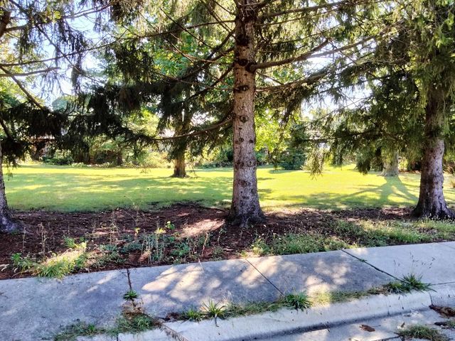 Lot N Alfred Avenue, Elgin, IL 60123