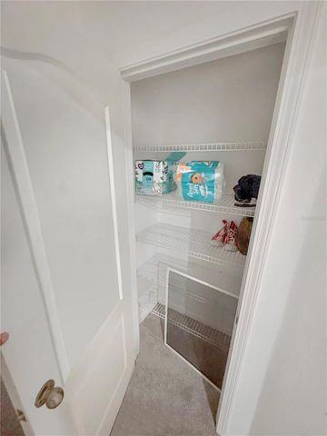 4924 CHATHAM GATE DRIVE, Riverview, FL 33578