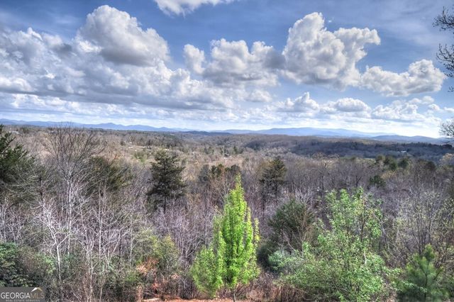 185 Logan Drive, Mineral Bluff, GA 30559