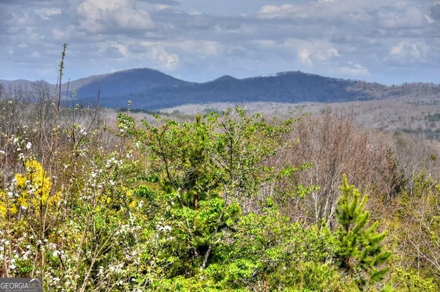 185 Logan Drive, Mineral Bluff, GA 30559