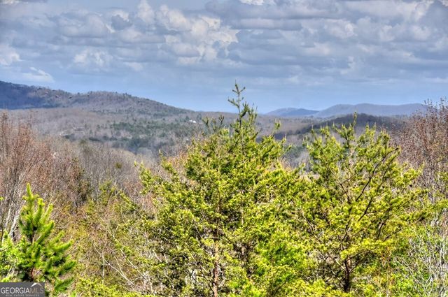 185 Logan Drive, Mineral Bluff, GA 30559