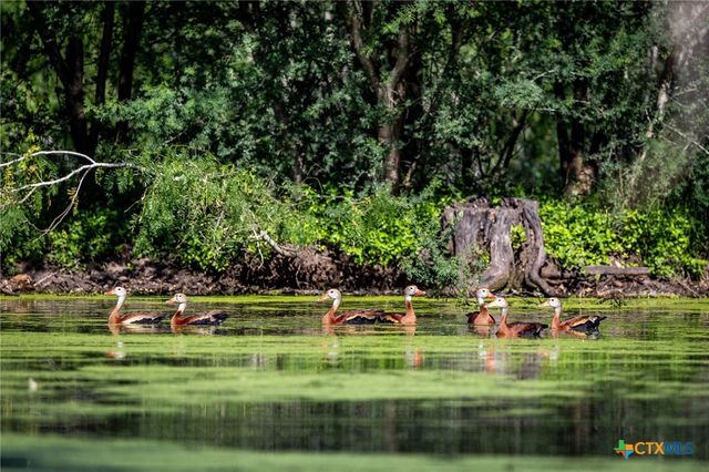 000 County Line Rd # 120, Beeville, TX 78102