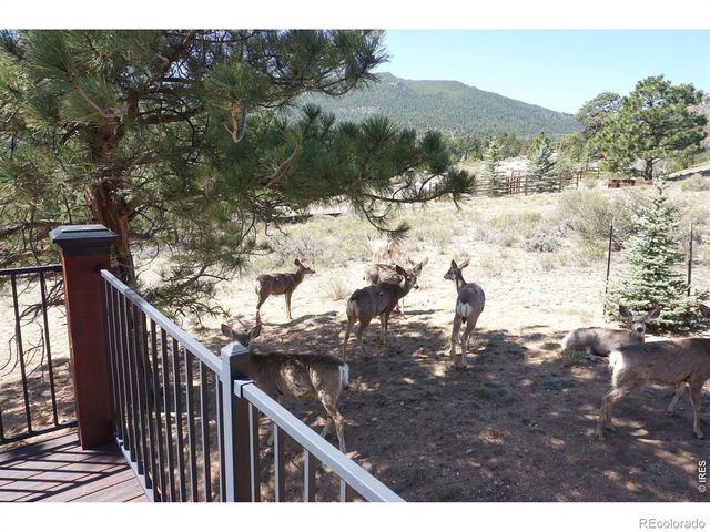 285 Indian Trail, Estes Park, CO 80517