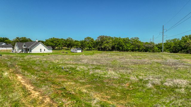 Lot 42 Leo Lane, Poolville, TX 76487