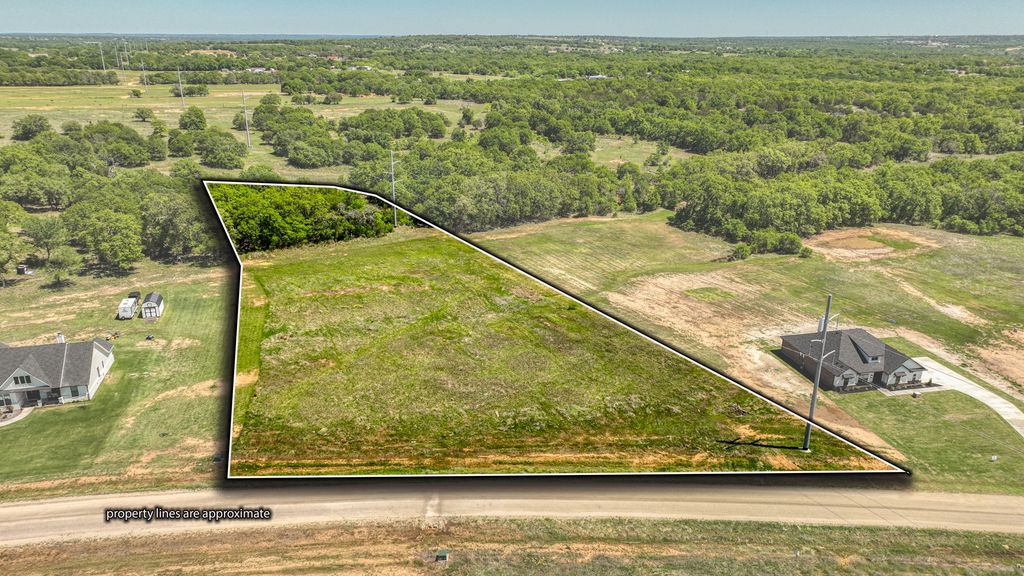 Lot 42 Leo Lane, Poolville, TX 76487
