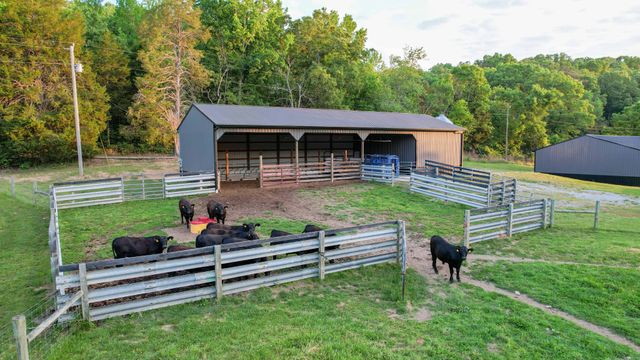 1267 Wades Branch Rd, Centerville, TN 37033