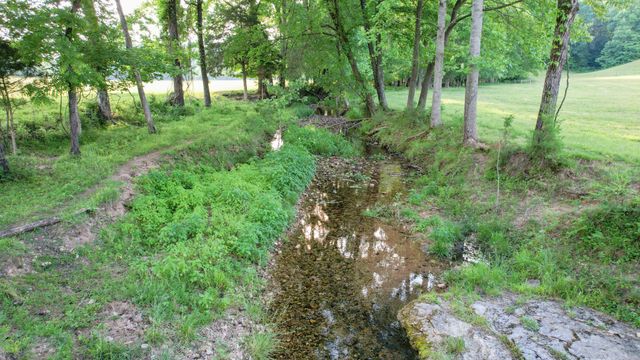 1267 Wades Branch Rd, Centerville, TN 37033