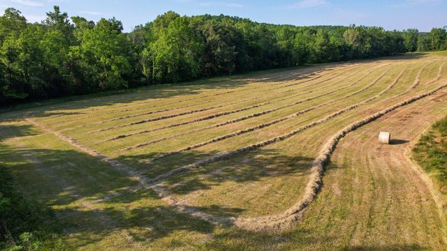 1267 Wades Branch Rd, Centerville, TN 37033