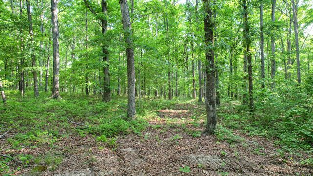 1267 Wades Branch Rd, Centerville, TN 37033