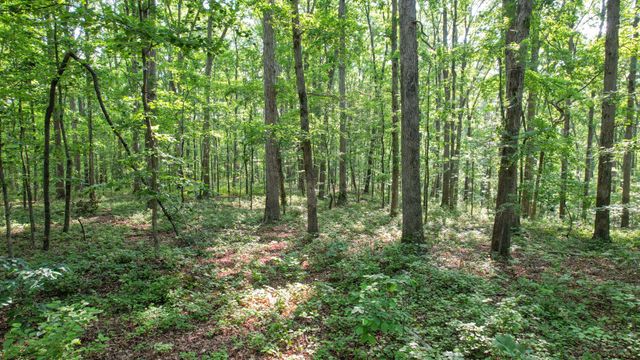 1267 Wades Branch Rd, Centerville, TN 37033