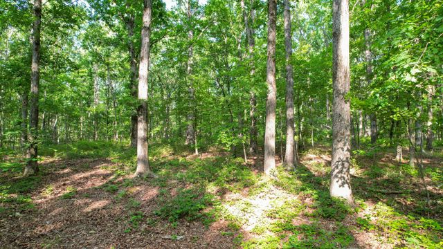 1267 Wades Branch Rd, Centerville, TN 37033