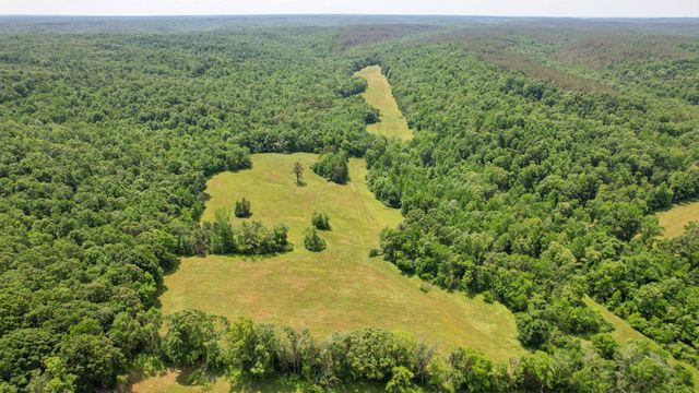 1267 Wades Branch Rd, Centerville, TN 37033