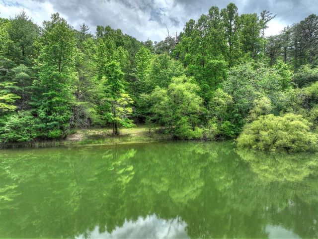 102 Captains Cove, Blairsville, GA 30512