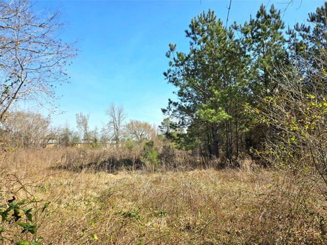 205 Tanner Street, Cleveland, TX 77575