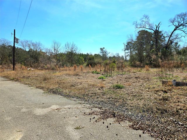 205 Tanner Street, Cleveland, TX 77575