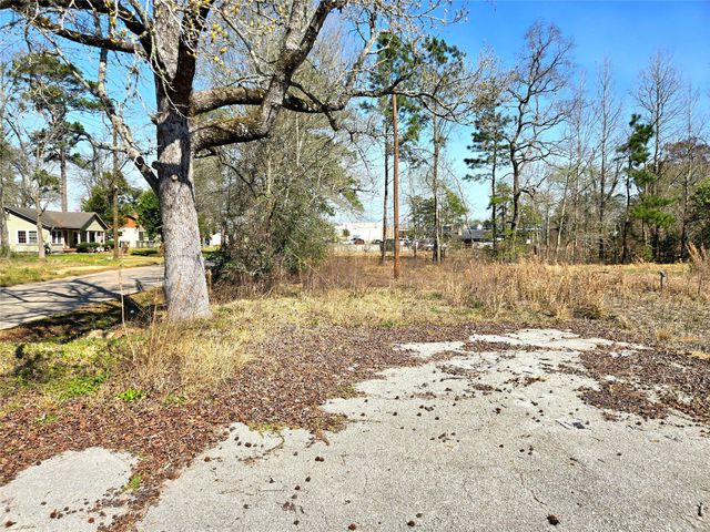 205 Tanner Street, Cleveland, TX 77575