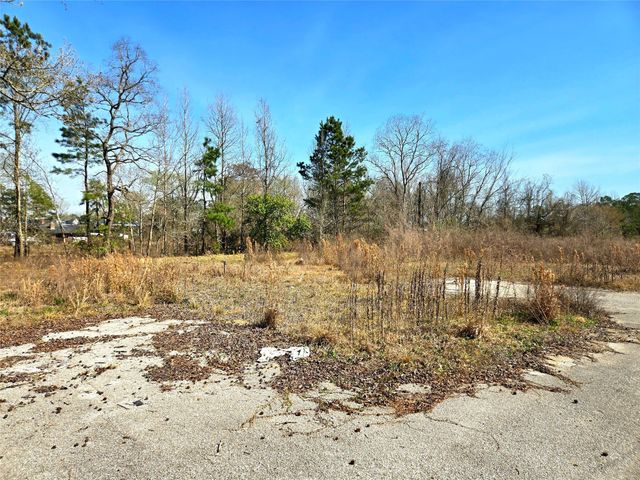 205 Tanner Street, Cleveland, TX 77575