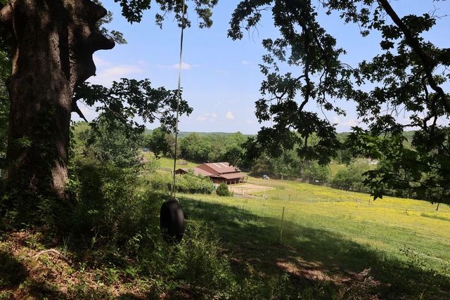 200 Reavley Road, Sale Creek, TN 37373